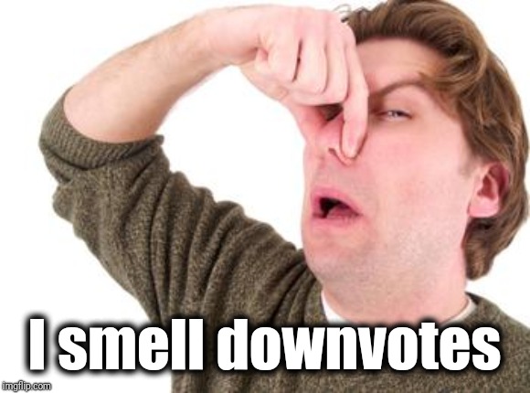 I smell downvotes | image tagged in stink | made w/ Imgflip meme maker