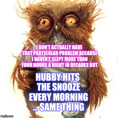 frazzled | I DON'T ACTUALLY HAVE THAT PARTICULAR PROBLEM BECAUSE I HAVEN'T SLEPT MORE THAN FOUR HOURS A NIGHT IN DECADES BUT HUBBY HITS THE SNOOZE EVER | image tagged in frazzled | made w/ Imgflip meme maker