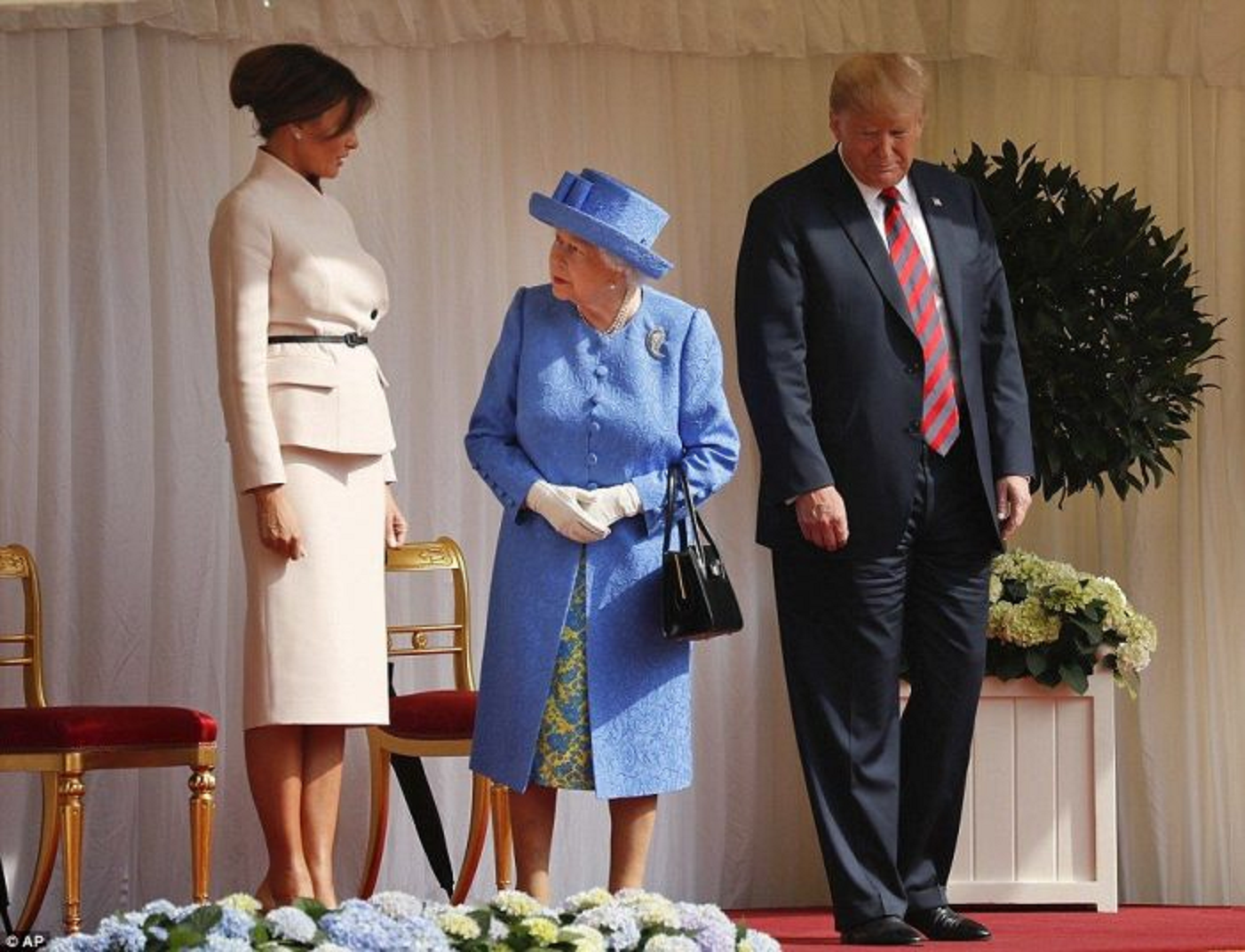 Queen meets porn star Blank Meme Template