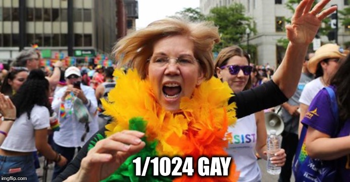 Pocahontas now identifies as Lizzie the Lezzy.  Whatever buys votes! | 1/1024 GAY | image tagged in elizabeth warren,pocahontas,gay | made w/ Imgflip meme maker