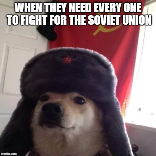 Communist dog | WHEN THEY NEED EVERY ONE TO FIGHT FOR THE SOVIET UNION | image tagged in communist dog | made w/ Imgflip meme maker