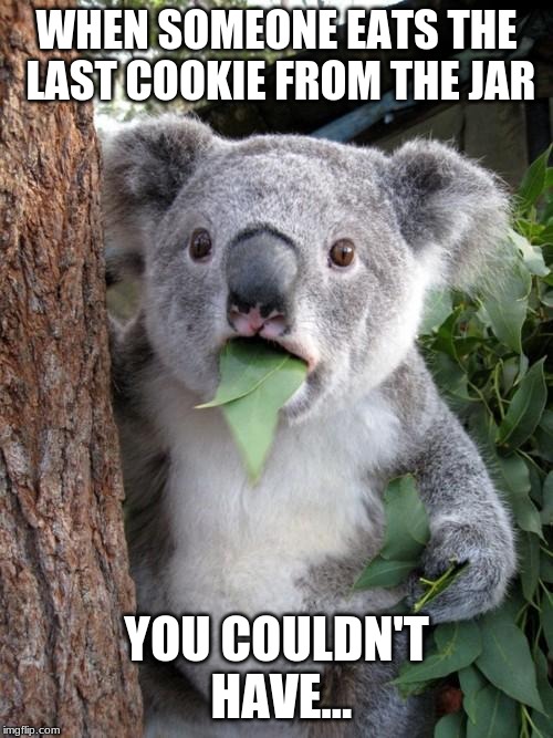 Surprised Koala Meme | WHEN SOMEONE EATS THE LAST COOKIE FROM THE JAR; YOU COULDN'T HAVE... | image tagged in memes,surprised koala | made w/ Imgflip meme maker