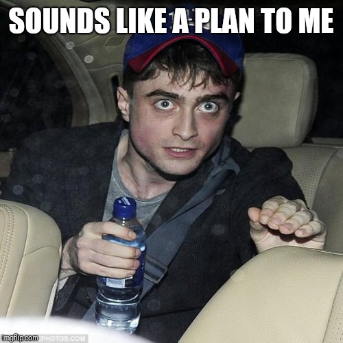 harry potter crazy | SOUNDS LIKE A PLAN TO ME | image tagged in harry potter crazy | made w/ Imgflip meme maker