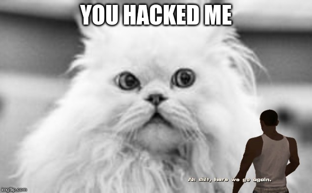 YOU HACKED ME | image tagged in cat,memes,fun | made w/ Imgflip meme maker