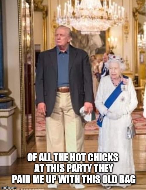 OF ALL THE HOT CHICKS AT THIS PARTY THEY PAIR ME UP WITH THIS OLD BAG | image tagged in donald trump | made w/ Imgflip meme maker