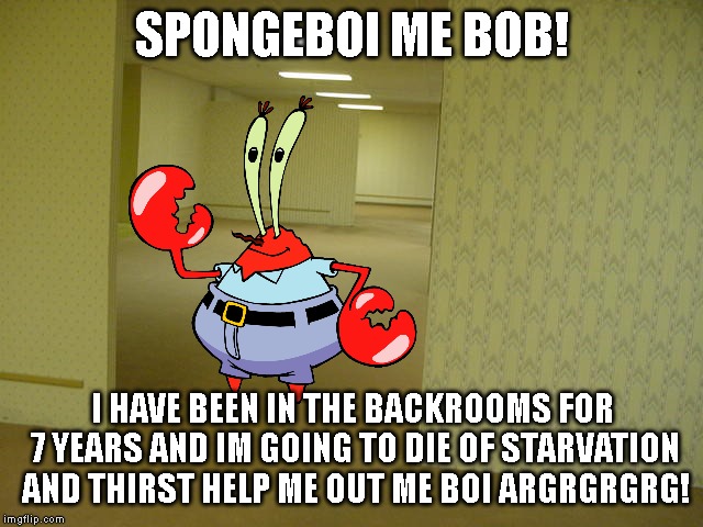 The Backrooms | SPONGEBOI ME BOB! I HAVE BEEN IN THE BACKROOMS FOR 7 YEARS AND IM GOING TO DIE OF STARVATION AND THIRST HELP ME OUT ME BOI ARGRGRGRG! | image tagged in the backrooms,mr krabs | made w/ Imgflip meme maker