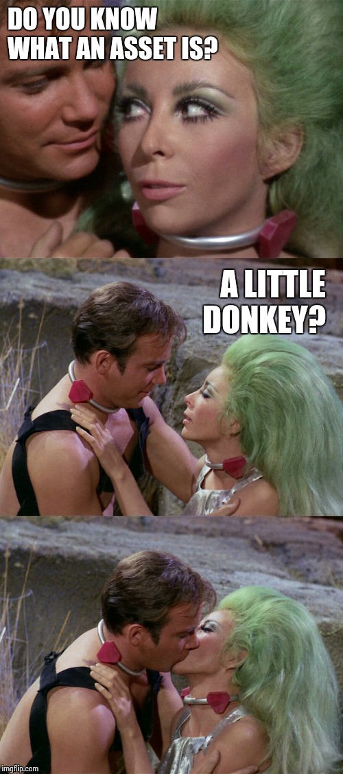 Bad Pun Smootchie Kirk and Shahna | DO YOU KNOW WHAT AN ASSET IS? A LITTLE DONKEY? | image tagged in bad pun smoochie kirk and shahna,memes,frontpage | made w/ Imgflip meme maker