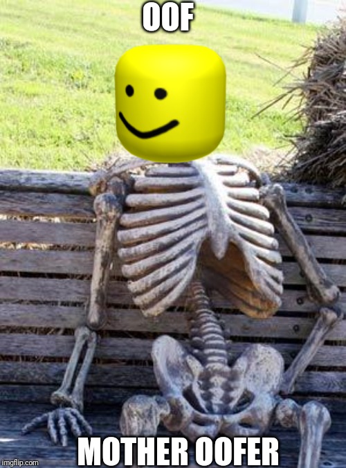 Waiting Skeleton | OOF; MOTHER OOFER | image tagged in memes,waiting skeleton | made w/ Imgflip meme maker