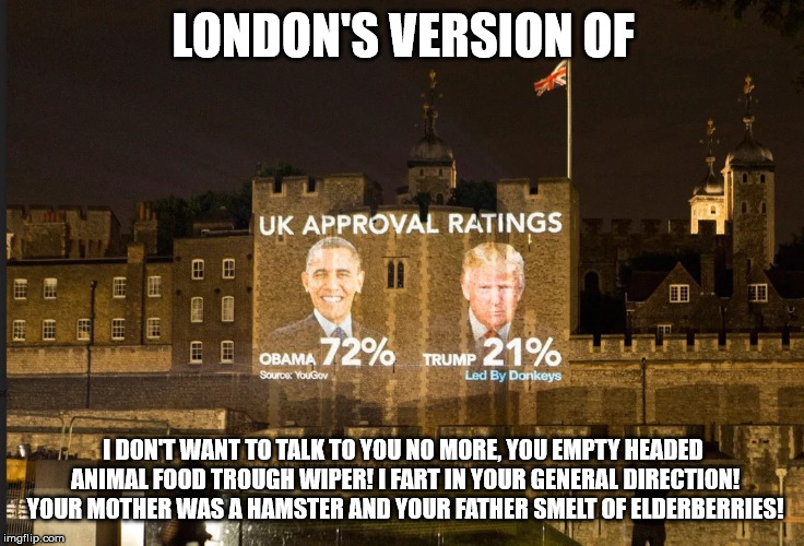 Taunting Trump | LONDON'S VERSION OF; I DON'T WANT TO TALK TO YOU NO MORE, YOU EMPTY HEADED ANIMAL FOOD TROUGH WIPER! I FART IN YOUR GENERAL DIRECTION! YOUR MOTHER WAS A HAMSTER AND YOUR FATHER SMELT OF ELDERBERRIES! | image tagged in trump,french taunting in monty python's holy grail | made w/ Imgflip meme maker