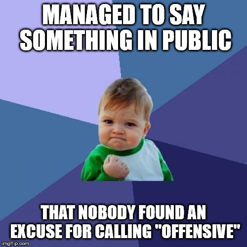Success Kid | MANAGED TO SAY SOMETHING IN PUBLIC; THAT NOBODY FOUND AN EXCUSE FOR CALLING "OFFENSIVE" | image tagged in memes,success kid | made w/ Imgflip meme maker
