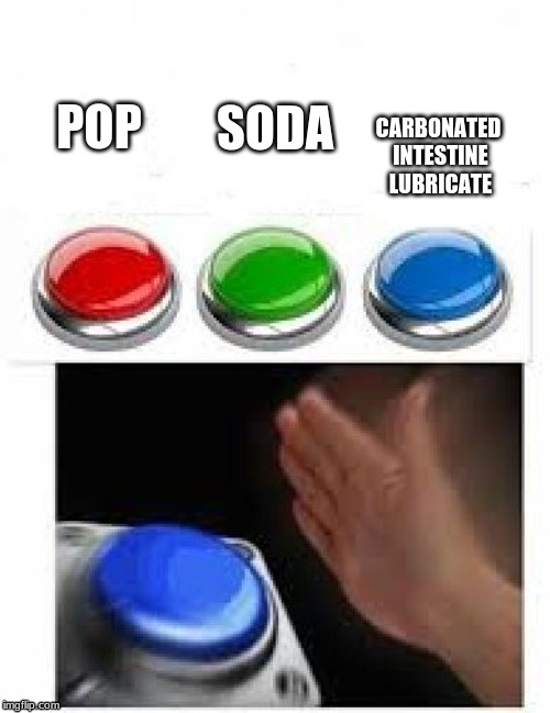 pop vs soda | POP; CARBONATED INTESTINE LUBRICATE; SODA | image tagged in sfw,spicy memes,dank memes | made w/ Imgflip meme maker