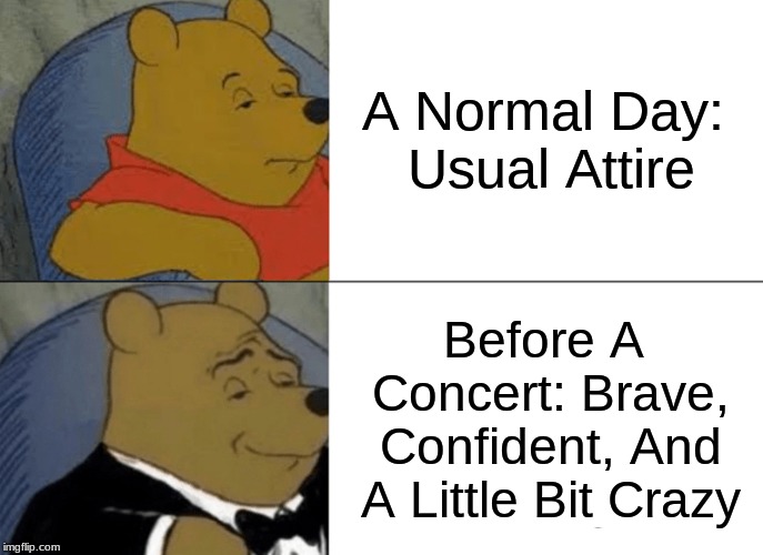 Tuxedo Winnie The Pooh | A Normal Day: Usual Attire; Before A Concert: Brave, Confident, And A Little Bit Crazy | image tagged in memes,tuxedo winnie the pooh | made w/ Imgflip meme maker