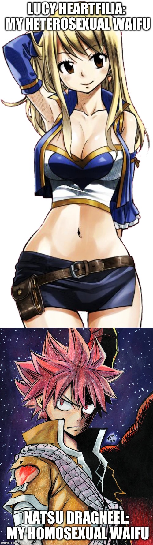 I Have Found My Heterosexual and Homosexual Waifus <3 | LUCY HEARTFILIA: MY HETEROSEXUAL WAIFU; NATSU DRAGNEEL: MY HOMOSEXUAL WAIFU | image tagged in lucy,natsu,fairy tail,anime,waifu,memes | made w/ Imgflip meme maker