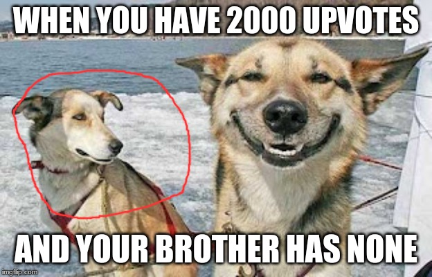 Original Stoner Dog | WHEN YOU HAVE 2000 UPVOTES; AND YOUR BROTHER HAS NONE | image tagged in memes,original stoner dog | made w/ Imgflip meme maker