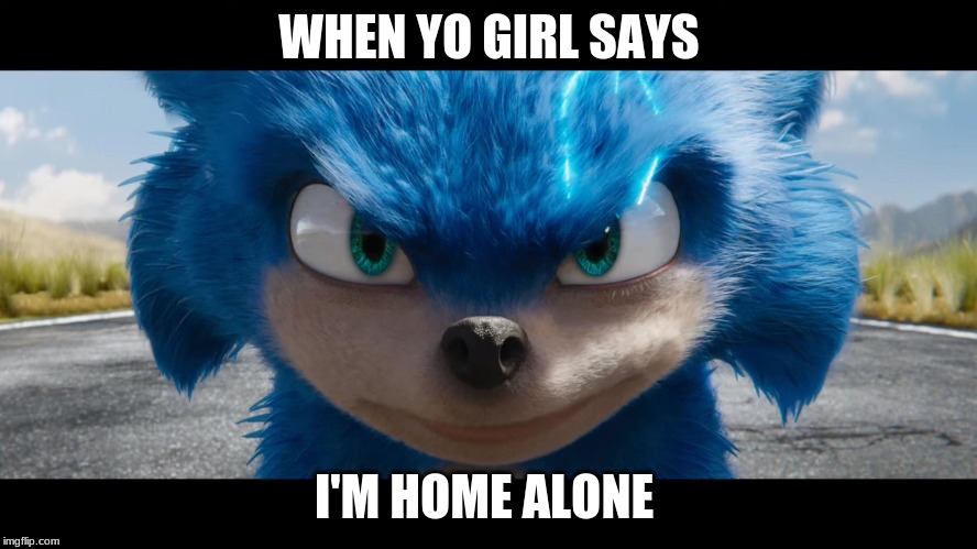Sonic movie | WHEN YO GIRL SAYS; I'M HOME ALONE | image tagged in sonic movie | made w/ Imgflip meme maker