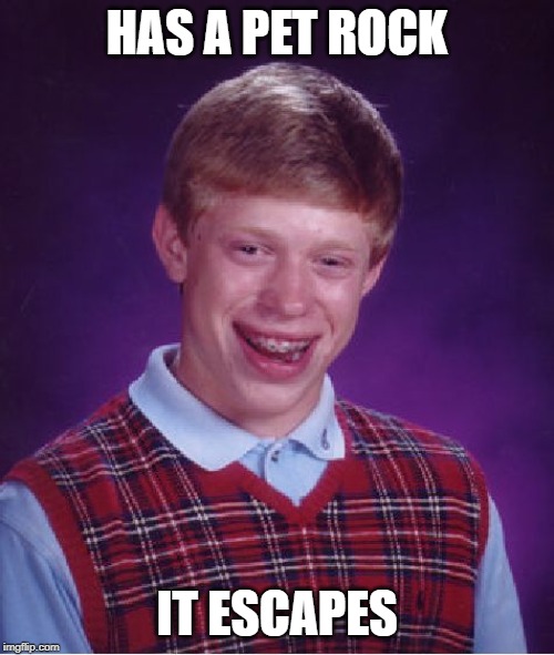 Bad Luck Brian | HAS A PET ROCK; IT ESCAPES | image tagged in memes,bad luck brian | made w/ Imgflip meme maker