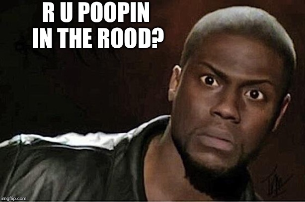 Kevin Hart Meme | R U POOPIN IN THE ROOD? | image tagged in memes,kevin hart | made w/ Imgflip meme maker