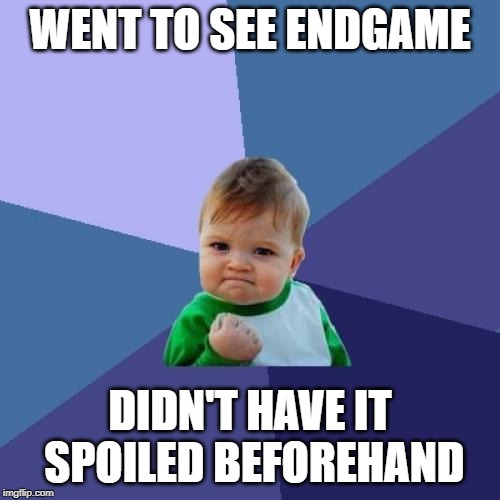 Success Kid |  WENT TO SEE ENDGAME; DIDN'T HAVE IT SPOILED BEFOREHAND | image tagged in memes,success kid | made w/ Imgflip meme maker