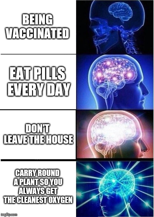 Expanding Brain | BEING VACCINATED; EAT PILLS EVERY DAY; DON'T LEAVE THE HOUSE; CARRY ROUND A PLANT SO YOU ALWAYS GET THE CLEANEST OXYGEN | image tagged in memes,expanding brain | made w/ Imgflip meme maker