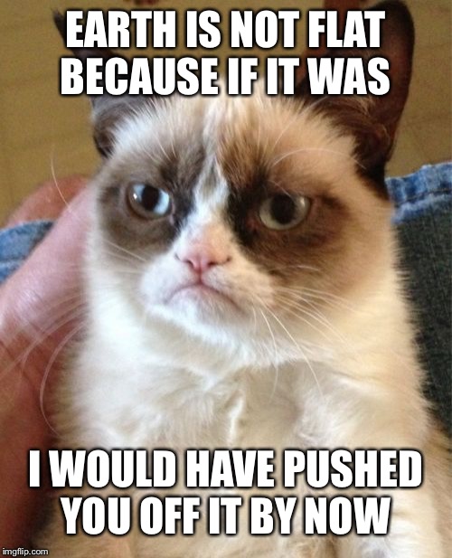 Grumpy Cat | EARTH IS NOT FLAT BECAUSE IF IT WAS; I WOULD HAVE PUSHED YOU OFF IT BY NOW | image tagged in memes,grumpy cat | made w/ Imgflip meme maker