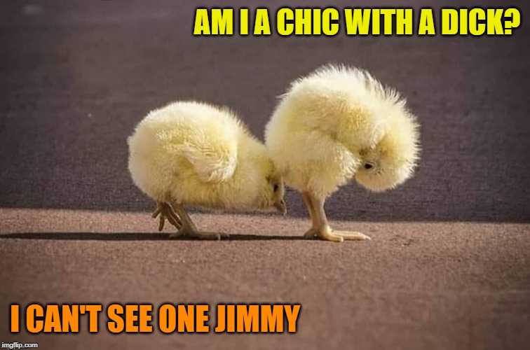 AM I A CHIC WITH A DICK? I CAN'T SEE ONE JIMMY | made w/ Imgflip meme maker