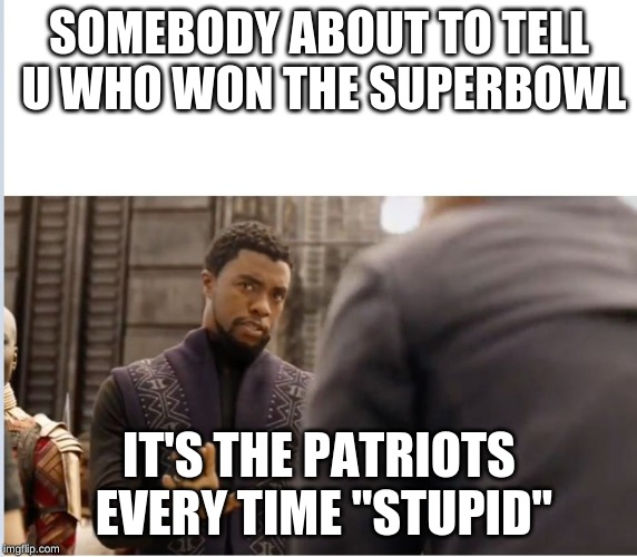 We don't do that here | SOMEBODY ABOUT TO TELL U WHO WON THE SUPERBOWL; IT'S THE PATRIOTS EVERY TIME "STUPID" | image tagged in we don't do that here | made w/ Imgflip meme maker