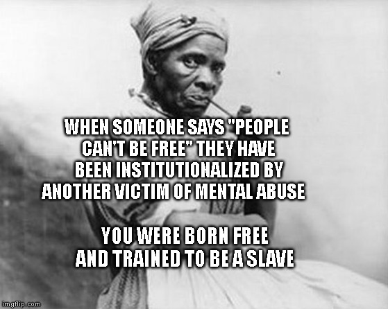 slave lady | WHEN SOMEONE SAYS "PEOPLE CAN'T BE FREE" THEY HAVE BEEN INSTITUTIONALIZED BY ANOTHER VICTIM OF MENTAL ABUSE; YOU WERE BORN FREE AND TRAINED TO BE A SLAVE | image tagged in slave lady | made w/ Imgflip meme maker