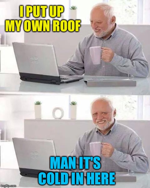 Hide the Pain Harold Meme | I PUT UP MY OWN ROOF MAN IT'S COLD IN HERE | image tagged in memes,hide the pain harold | made w/ Imgflip meme maker