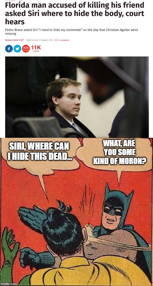 Orwell was right....Big Siri hears all! | WHAT, ARE YOU SOME KIND OF MORON? SIRI, WHERE CAN I HIDE THIS DEAD... | image tagged in memes,batman slapping robin | made w/ Imgflip meme maker