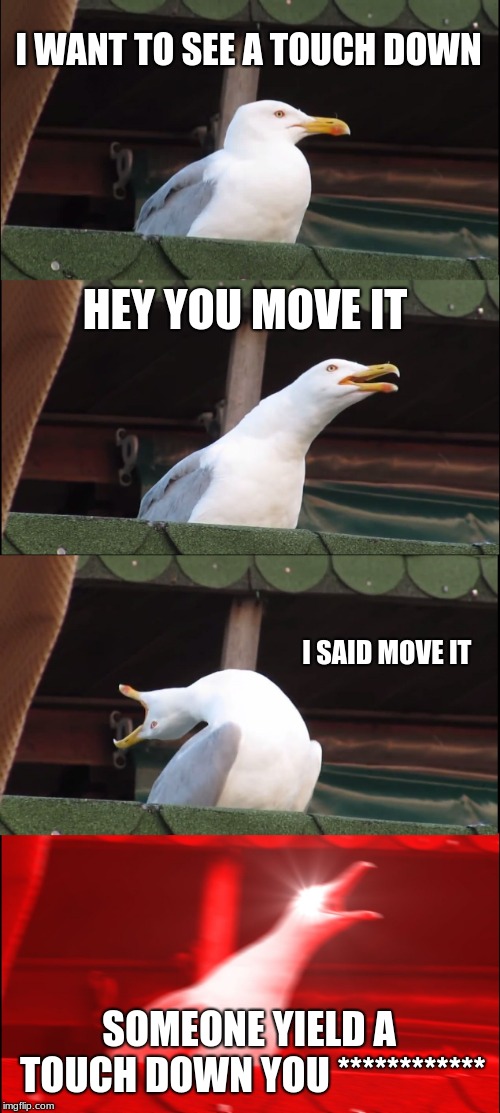Inhaling Seagull | I WANT TO SEE A TOUCH DOWN; HEY YOU MOVE IT; I SAID MOVE IT; SOMEONE YIELD A TOUCH DOWN YOU ************ | image tagged in memes,inhaling seagull | made w/ Imgflip meme maker