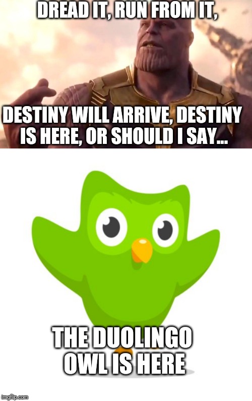 DREAD IT, RUN FROM IT, DESTINY WILL ARRIVE, DESTINY IS HERE, OR SHOULD I SAY... THE DUOLINGO OWL IS HERE | image tagged in things duolingo teaches you,thanos snap | made w/ Imgflip meme maker
