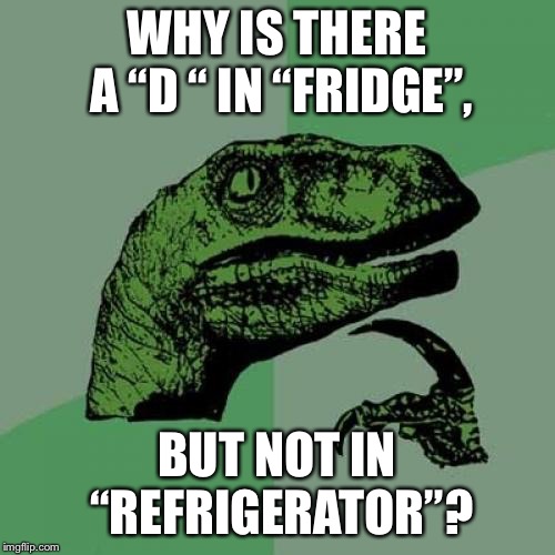 Philosoraptor | WHY IS THERE A “D “ IN “FRIDGE”, BUT NOT IN “REFRIGERATOR”? | image tagged in memes,philosoraptor | made w/ Imgflip meme maker
