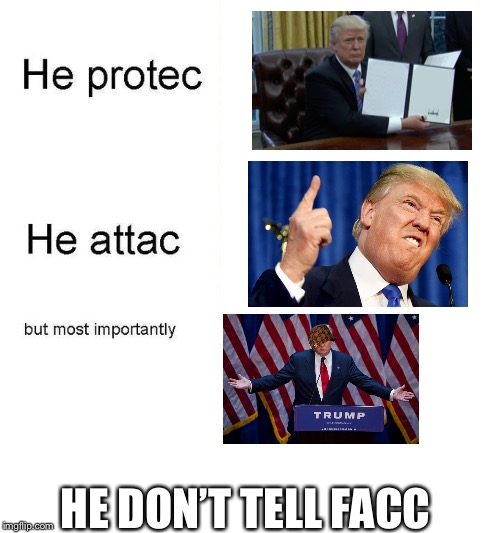 no facts, only lies | HE DON’T TELL FACC | image tagged in he protec,he protec he attac but most importantly,trump | made w/ Imgflip meme maker