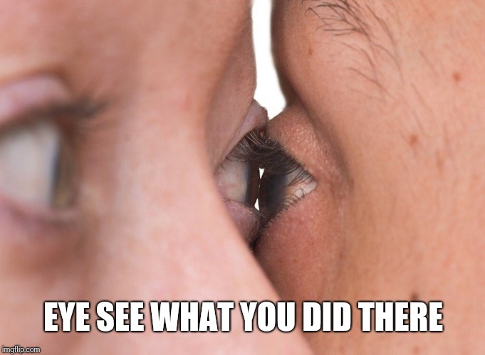 eye to eye | EYE SEE WHAT YOU DID THERE | image tagged in eye to eye | made w/ Imgflip meme maker