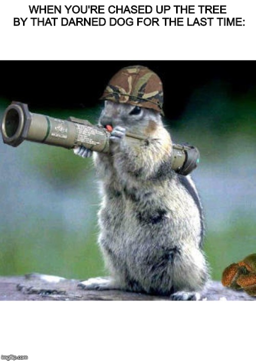THE SQUIRREL REBELLION HAS COME! | WHEN YOU'RE CHASED UP THE TREE BY THAT DARNED DOG FOR THE LAST TIME: | image tagged in memes,bazooka squirrel | made w/ Imgflip meme maker