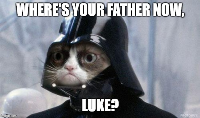 R.I.P. Grumpy Cat | WHERE'S YOUR FATHER NOW, LUKE? | image tagged in memes,grumpy cat star wars,grumpy cat | made w/ Imgflip meme maker