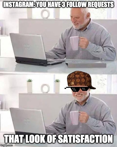 Hide the Pain Harold Meme | INSTAGRAM: YOU HAVE 3 FOLLOW REQUESTS; THAT LOOK OF SATISFACTION | image tagged in memes,hide the pain harold | made w/ Imgflip meme maker