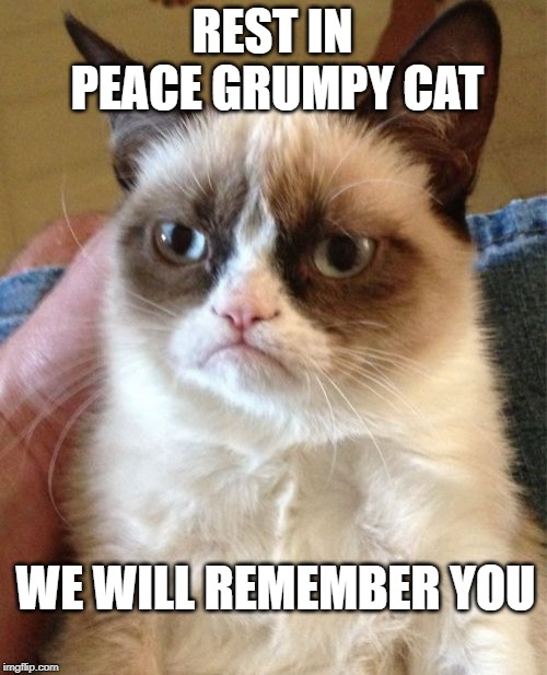 Grumpy Cat Meme | REST IN PEACE GRUMPY CAT; WE WILL REMEMBER YOU | image tagged in memes,grumpy cat | made w/ Imgflip meme maker