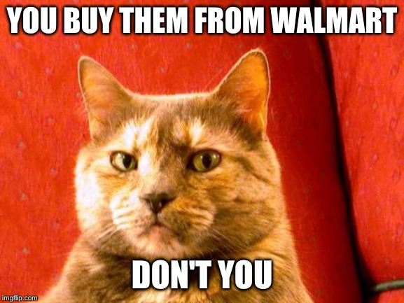 Suspicious Cat Meme | YOU BUY THEM FROM WALMART DON'T YOU | image tagged in memes,suspicious cat | made w/ Imgflip meme maker