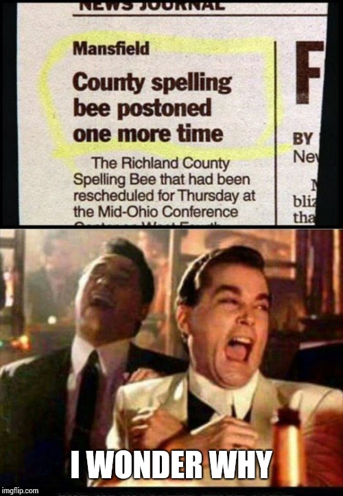 I WONDER WHY | image tagged in lol good fellas | made w/ Imgflip meme maker