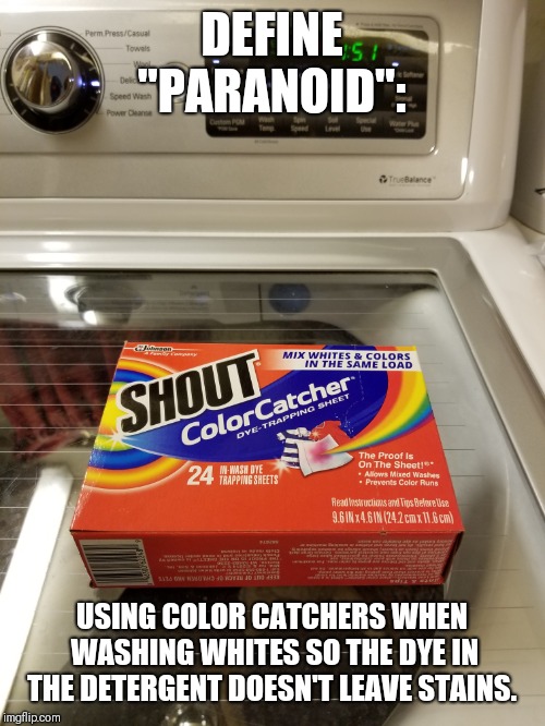 Paranoid much? | DEFINE "PARANOID":; USING COLOR CATCHERS WHEN WASHING WHITES SO THE DYE IN THE DETERGENT DOESN'T LEAVE STAINS. | image tagged in memes,funny memes,original memes,memes in real life,fresh memes,paranoia | made w/ Imgflip meme maker