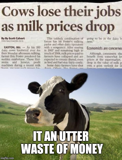 IT AN UTTER WASTE OF MONEY | image tagged in cow | made w/ Imgflip meme maker
