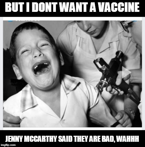 BUT I DONT WANT A VACCINE; JENNY MCCARTHY SAID THEY ARE BAD, WAHHH | image tagged in anti vax | made w/ Imgflip meme maker