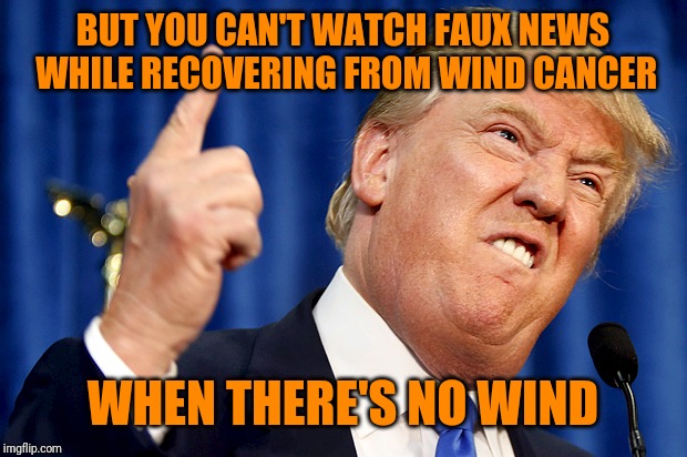 Donald Trump | BUT YOU CAN'T WATCH FAUX NEWS WHILE RECOVERING FROM WIND CANCER WHEN THERE'S NO WIND | image tagged in donald trump | made w/ Imgflip meme maker