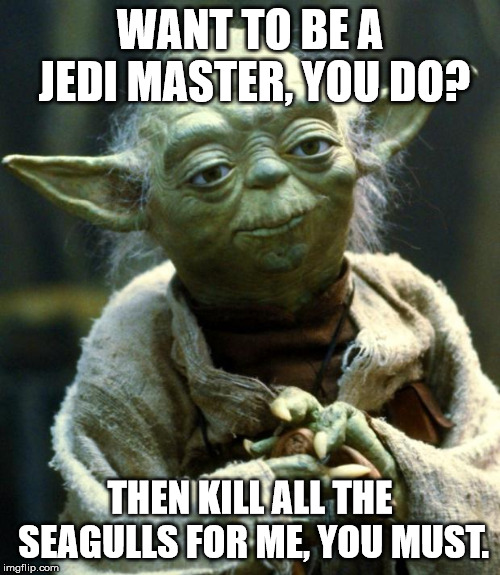 Star Wars Yoda Meme | WANT TO BE A JEDI MASTER, YOU DO? THEN KILL ALL THE SEAGULLS FOR ME, YOU MUST. | image tagged in memes,star wars yoda | made w/ Imgflip meme maker