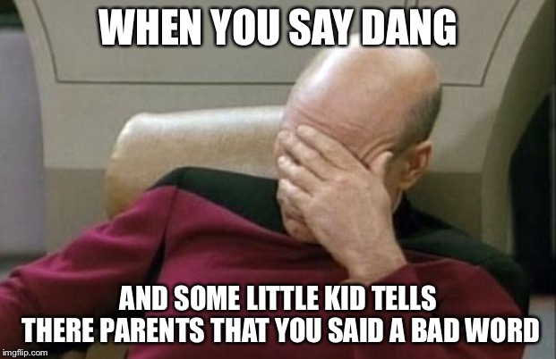 sometimes being sheltered is a bad thing | WHEN YOU SAY DANG; AND SOME LITTLE KID TELLS THERE PARENTS THAT YOU SAID A BAD WORD | image tagged in memes,captain picard facepalm | made w/ Imgflip meme maker