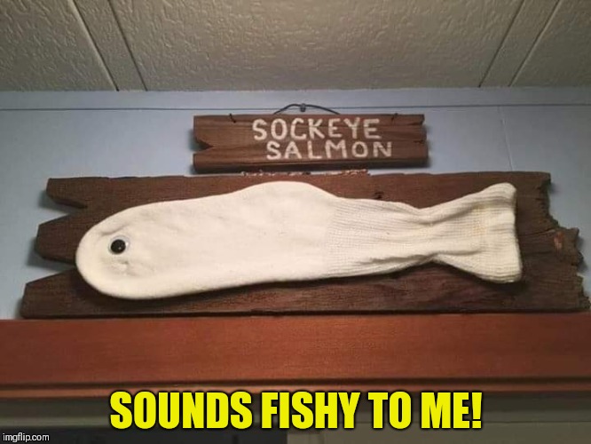 Another fish story! | SOUNDS FISHY TO ME! | image tagged in funny fish,funny salmon,sockeye salmon | made w/ Imgflip meme maker