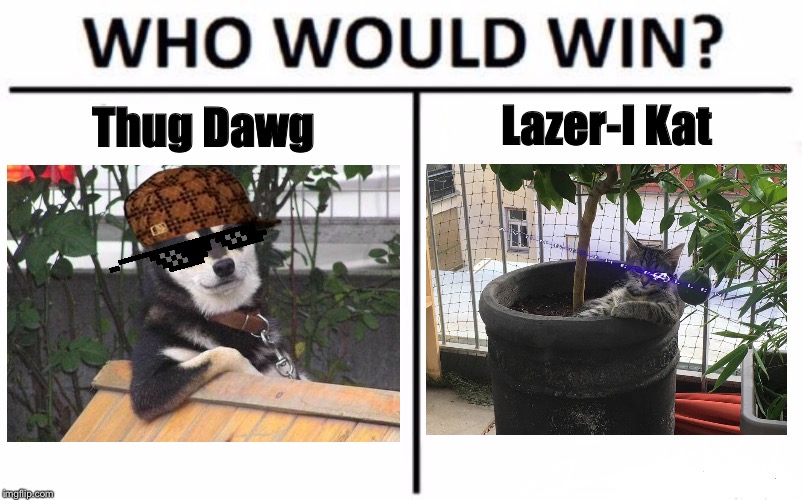 Thug Dawg vs Lazer-I Cat! | Lazer-I Kat; Thug Dawg | image tagged in memes,who would win,cool dog,thug dogs,cool cat,laser eyes | made w/ Imgflip meme maker