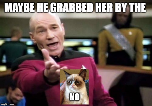 Picard Wtf Meme | MAYBE HE GRABBED HER BY THE NO | image tagged in memes,picard wtf | made w/ Imgflip meme maker