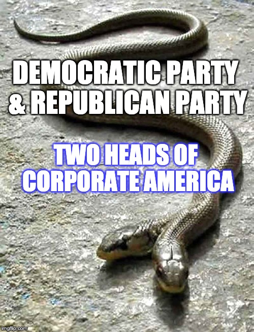 DEMOCRATIC PARTY & REPUBLICAN PARTY; TWO HEADS OF CORPORATE AMERICA | image tagged in corporations,democratic party,republican party | made w/ Imgflip meme maker